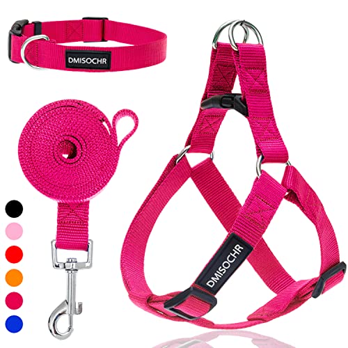 Hundegeschirr, kein Ziehen, zum einfachen Spazierengehen, Hundegeschirr und Leine für kleine, mittelgroße und große Hunde, ausbruchsicher, verstellbar, weiches Nylon, Leine, Halsband-Set von IPRAVOCI