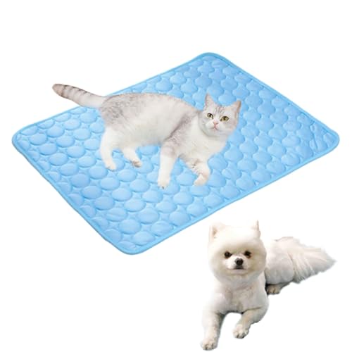 Atmungsaktive Sommerkühlkissen for Haustiere, 100 X 70 Cm, Kühlmatte for Haustiere, Kühlkissen for Katzen, Ungiftige Schlafmatte, Wiederverwendbare Hunde-Heimmatte, for Große Hunde, Katzen Und Tiere(B Atmungsaktive Sommerkühlkissen for Haustiere, 100 X 70 Cm, Kühlmatte for Haustiere, Kühlkissen for Katzen, Ungiftige Schlafmatte, Wiederverwendbare Hunde-Heimmatte, for Große Hunde, Katzen Und Tiere(B von IRCKONCI