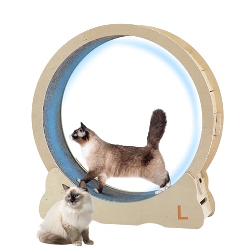 Katzen-Laufrad für Indoor-Katzenlaufband, Katzenlaufrad mit Teppichlaufbahn, 100,1 cm (39 Zoll) Katzen Fitness Gewichtsverlustgerät, geeignet für die meisten Katzen (L) von IRCPEN