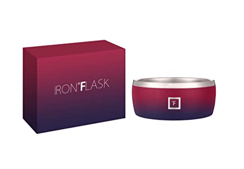 IRON °FLASK Hundenapf – 900 ml Edelstahl, rutschfeste Gummiunterseite, langlebig, Tierfutter und Wasser, Katzenfutter, dunkler Regenbogen von IRON °FLASK