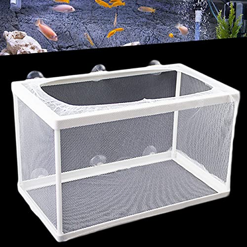 1 x Fischbrutkasten für Aquarien mit Saugnäpfen, kleines Brutkasten, Netz, Isolationsbox, Inkubator-Boxen für Babyfische, Guppy, Garnelen (26 x 15 x 15 cm) (groß) von IRYNA