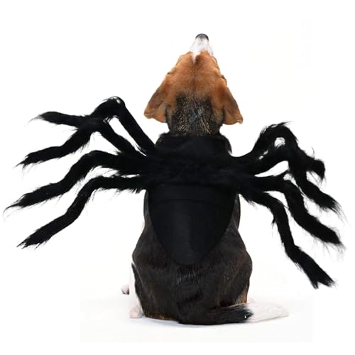 Hunde-Spinnenkostüm, lustiges Hunde-Halloween-Kostüm, Cosplay, pelzige Riesenspinne, Haustier-Outfit, Hundekleidung für kleine mittelgroße Hunde, Katzen, Welpen, Halloween-Party-Dekoration, von ISDULA