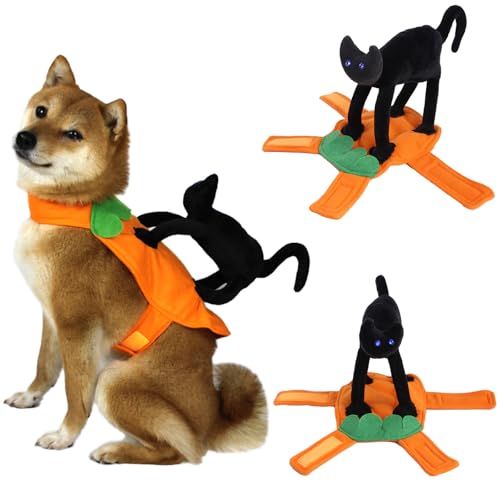 Schwarze Katze Reiter Hundekostüm, Neuheit Hund Halloween Kostüme Haustier Reitkostüm, Hundekleidung für kleine mittelgroße Hunde, Katzen, Welpen, Cosplay, lustiges Ritterstil-Outfit, Partybekleidung von ISDULA