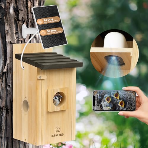 Intelligentes Vogelhaus mit KI-Identifizierungskamera, 1080P Vogelhaus-Kamera solarbetrieben, Vogelhäuser für außen schalten automatisch auf Nachtsicht um, 2,4 G WiFi-App zur Beobachtung von von ISENLAND