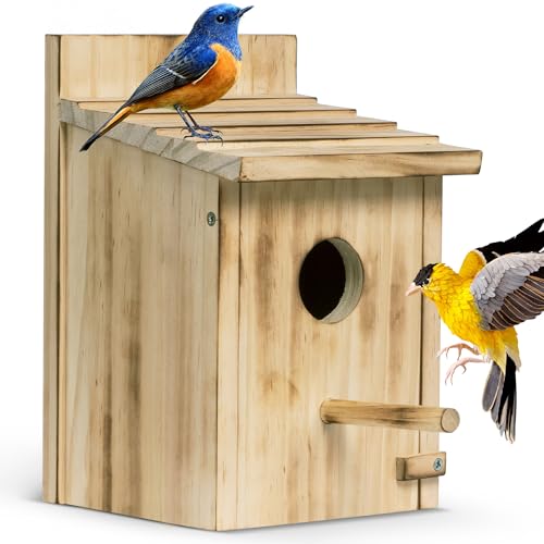 Vogelhäuser für Draußen Holz Blau Vogelhäuser für Draußen mit Stehstange für Garten, Hof, Vogelhaus für Außen Hängend oder Wandhalterung für Finken, Kardinäle von ISENLAND