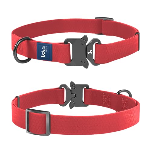 IskaPets | Premium-Hundehalsband für kleine und mittelgroße Hunde | Verstellbares, strapazierfähiges und weiches PVC-Materialhalsband | Schnellverschluss-Metallschnalle und Metallbeschläge | waschbar von ISKA PETS