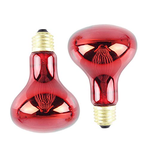 ISTOVO 100W 2 Pack Infrarot WäRme Lampe GlüHbirne Rot Licht GlüHbirne für Eidechsen Bartagamen ChamäLeons Schlangen Reptilien & Amphibien 220V von ISTOVO