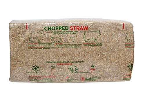 ITAGRI Katzentoilette aus Stroh, für Pferde, Nagetiere, Katzen, 19 kg (330 l) Chopped Straw von ITAGRI