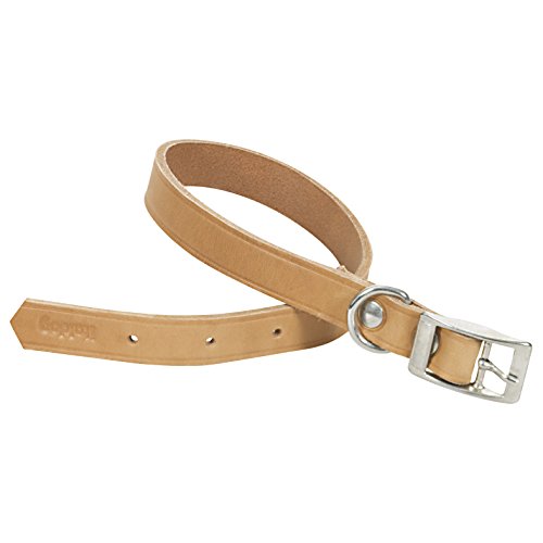 CHAPUIS SELLERIE SLA623 Hundehalsband - Leder, Natur - Breite 30 mm - Länge 60 cm - Größe L von ITAL DOG