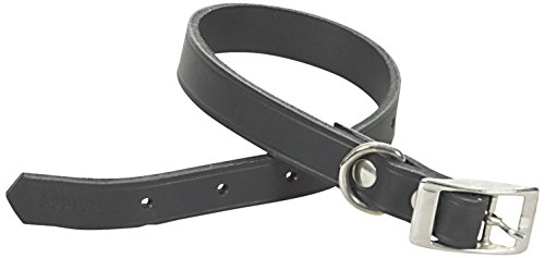 CHAPUIS SELLERIE SLA627 Hundehalsband - Schwarzes Leder - Breite 20 mm - Länge 50 cm - Größe M von ITAL DOG