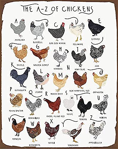 Hühner-Druck Hühnerrassen Kunst Alphabet Poster Hühnerliebhaber Geschenk Huhn-Poster Hühnerrassen Bauernhof Hühnerstall Dekor Werkzeug Blechschild 20,3 x 30,5 cm von IUBBKI