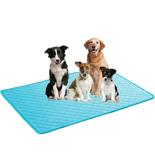 IUNSER Kühlmatte für Hunde, Selbstkühlende Hundematte mit Gel,Selbstkühlende Kissen, Kühl Hundedecke, Kaltgelpad für Katzen and Hunde (Blue, 40x30cm) von IUNSER