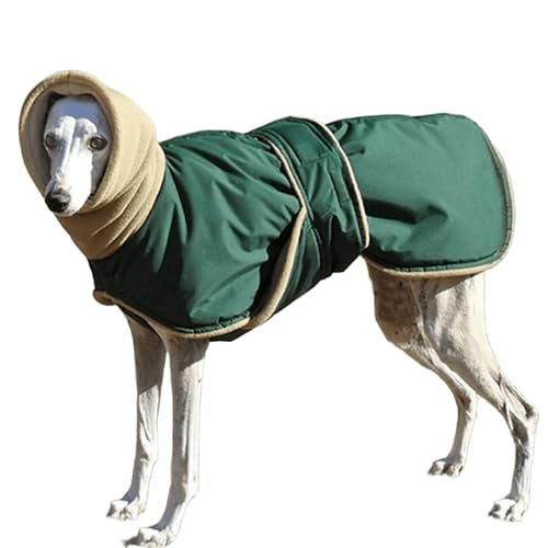 IUOUTG Greyhound Winter Hundemantel, Warme Dicke Hundejacke Für Große Hunde, Schildkröte Hals Haustier Oberbekleidung Mit Fleece Futter & Verstellbare Bänder Für Whippet Outfits IUOUTG Greyhound Winter Hundemantel, Warme Dicke Hundejacke Für Große Hunde, Schildkröte Hals Haustier Oberbekleidung Mit Fleece Futter & Verstellbare Bänder Für Whippet Outfits von IUOUTG