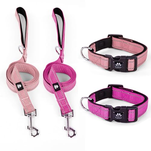 IVY&LANE Reflektierende Hundehalsbänder und Leine, verstellbar, Neopren, gepolstert, für Welpen, atmungsaktives Nylon-Halsband für kleine bis große Hunde, 1,5 m lange Nylon-Hundeleine (XS, Rosa + von IVY&LANE