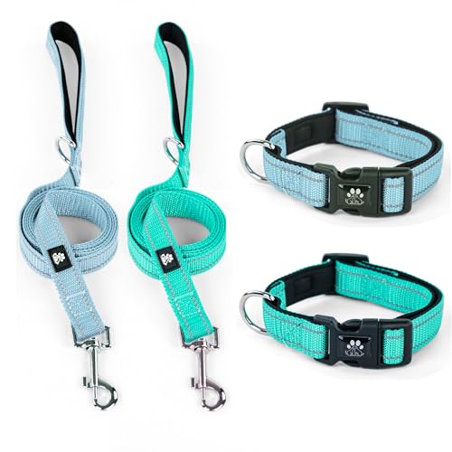 IVY&LANE Reflektierende Hundehalsbänder und Leinen, verstellbar, Neopren, gepolstert, für Welpen, atmungsaktives Nylon-Halsband für kleine, mittelgroße und große Hunde, 1,5 m lange Nylon-Hundeleine von IVY&LANE