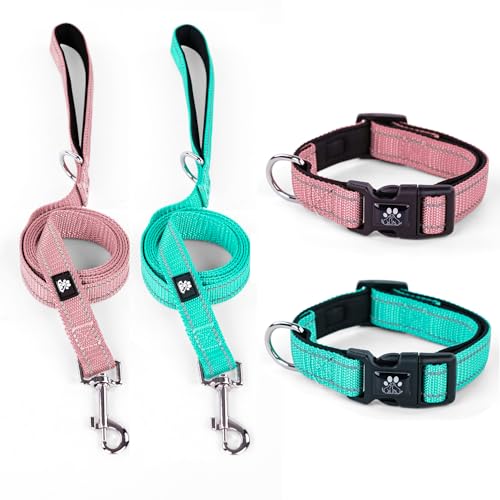 IVY&LANE Reflektierende Hundehalsbänder und Leinen, verstellbar, Neopren, gepolstert, für Welpen, atmungsaktives Nylon-Halsband für kleine, mittelgroße und große Hunde, 1,5 m lange Nylon-Hundeleine von IVY&LANE