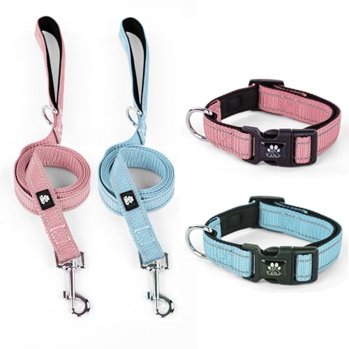 IVY&LANE Reflektierende Hundehalsbänder und Leinen, verstellbar, Neopren, gepolstert, für Welpen, atmungsaktives Nylon-Halsband für kleine, mittelgroße und große Hunde, 1,5 m lange Nylon-Hundeleine von IVY&LANE