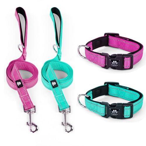 IVY&LANE Reflektierende Hundehalsbänder und Leinen, verstellbar, Neopren, gepolstert, für Welpen, atmungsaktives Nylon-Halsband für kleine bis große Hunde, 1,5 m lange Nylon-Hundeleine (klein, Fuchsia von IVY&LANE