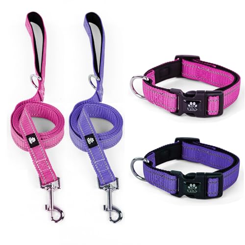 IVY&LANE Reflektierende Hundehalsbänder und Leinen, verstellbar, Neopren, gepolstert, für Welpen, atmungsaktives Nylon-Halsband für kleine bis große Hunde, 1,5 m lange Nylon-Hundeleine (mittelgroß, von IVY&LANE