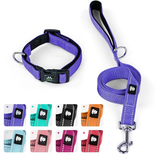 IVY&LANE Reflektierendes Hundehalsband und Leine, verstellbar, Neopren, gepolsterte Hundehalsbänder für Welpen, atmungsaktives Nylon-Haustierhalsband für kleine, mittelgroße und große Hunde, 1,5 m von IVY&LANE