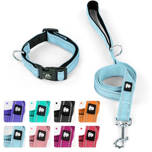 IVY&LANE Reflektierendes Hundehalsband und Leine, verstellbar, Neopren, gepolsterte Hundehalsbänder für Welpen, atmungsaktives Nylon-Haustierhalsband für kleine, mittelgroße und große Hunde, 1,5 m von IVY&LANE