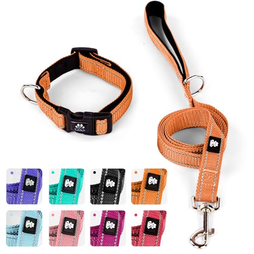 Reflektierendes Hundehalsband und Leine, IVY&LANE, verstellbar, Neopren, gepolsterte Hundehalsbänder für Welpen, atmungsaktives Nylon-Haustierhalsband für kleine, mittelgroße und große Hunde, 1,5 m von IVY&LANE