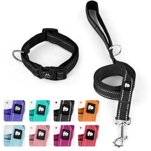 IVY&LANE Reflektierendes Hundehalsband und Leine, verstellbares Haustierhalsband mit Neopren, gepolstert, für kleine, mittelgroße und große Hunde, 1,5 m Nylon-Hundeleine mit gepolstertem Griff von IVY&LANE