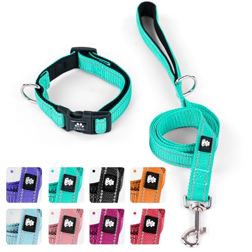 IVY&LANE Reflektierendes Hundehalsband und Leine, verstellbares Haustierhalsband mit Neopren gepolstert, für kleine, mittelgroße und große Hunde, 1,5 m Nylon-Hundeleine mit gepolstertem Griff von IVY&LANE