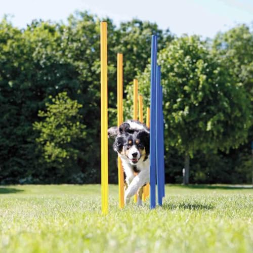 IVhomeshop Outdoor 12-teiliges geflochtenes Stangen-Set für Hunde, Hindernisse, Agility-Training, Trainingsgerät-Set, Agility-Ausrüstung, Slalom-Set (mit Tragetasche) von IVhomeshop