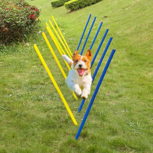 IVhomeshop Outdoor 12-teiliges geflochtenes Stangen-Set für Hunde, Hindernisse, Agility-Training, Trainingsgerät-Set, Agility-Ausrüstung, Slalom-Set (mit Tragetasche) von IVhomeshop