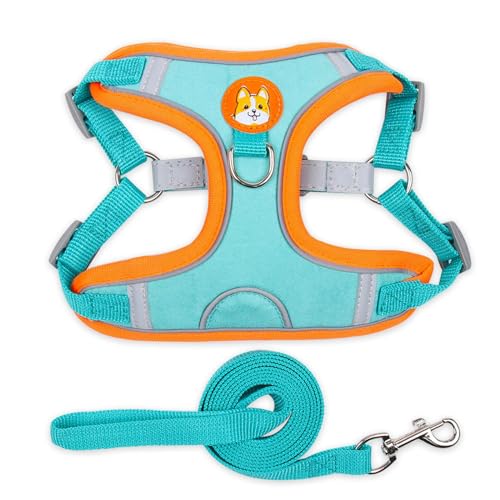 Hundegeschirr Haustierbedarf Hund Katze Brustgeschirr Hundeseil Reflektierende Weste Typ Zugseil Hund Outdoor Walking Harness von IWOMA