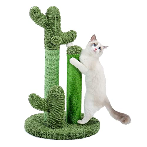 Kratzbaum für Katzen Kaktusform Kratzbaum mit Plüschball für kleine natürliche Sisalkratzer für Indoor Cat von IWOMA
