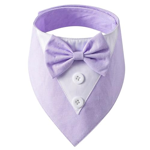 Prince-Halsband für Katzen, Haustier-Halstuch, Anzug, Kätzchen-Hals-Dekoration, elegantes Katzenhalsband mit Fliege, mehrfarbiges Bandana von IWOMA