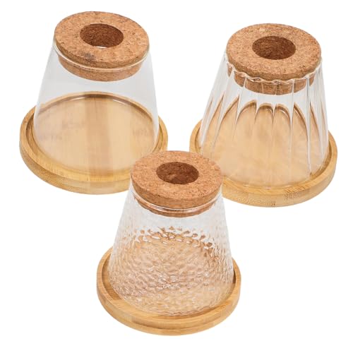 IWOWHERO Glas Hydrokultur Pflanze Flasche Set Kork beschichtet Büro Schreibtisch Landschaft Glas Vase von IWOWHERO