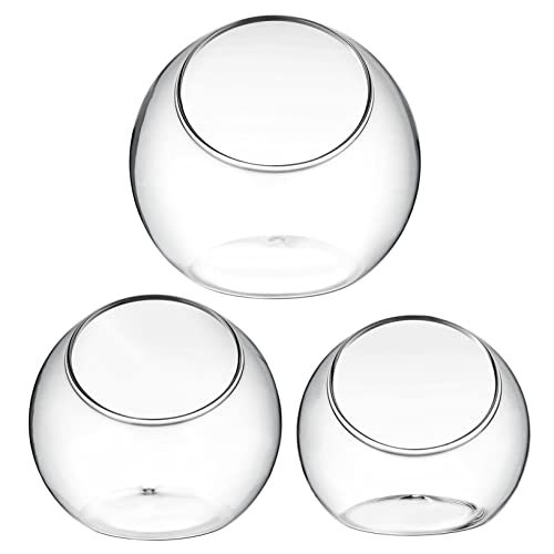 IWOWHERO 3er Set Terrarium Luftpflanzen Vasen Aus Glas Transparente Tisch Pflanzgefäße Für Das Heimbüro Dekorative Glaspflanzschalen Für Pflanzen Und Blumen Modern Und Stilvoll von IWOWHERO