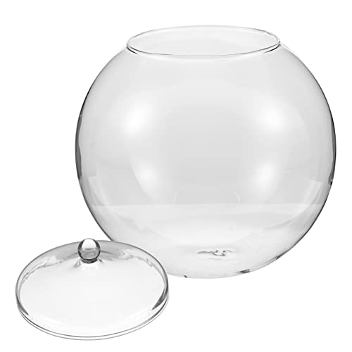 IWOWHERO Glas Terrarium Glaspflanzer Vase Clear Planthalter Mit Deckel -moos -Terrarium von IWOWHERO