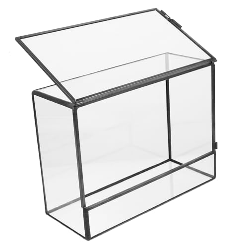 IWOWHERO Landschaftsglas-Terrarium Für Pflanzen 145 X 80 X 195 Mm Tischdekoration Umweltfreundlicher Sukkulentenbehälter von IWOWHERO