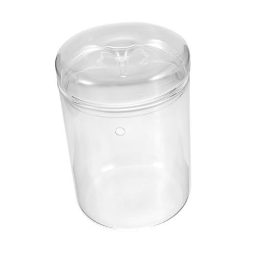 IWOWHERO Mikro Landschaftspflanzen Vasen Mini Vasen Terrarium Hydroponische Vase Flasche Moospflanze Flasche Pflanzenflasche Landschaftsbehälter Dekorative Flasche Einfache von IWOWHERO