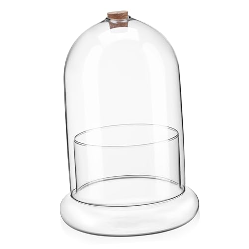 IWOWHERO Mikrolandschaftsmoosbedeckung Terrarienglas Erhaltene Blumenkuppel Pflanze Terrarium Kuppel Dekoratives Glas Moos Landschaft Container Zubehör Für Terrarien Glocke Terrarium-kit von IWOWHERO