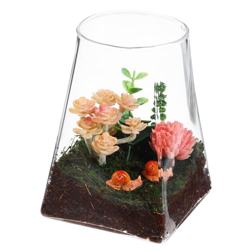 IWOWHERO Ökologische Mikrolandschaftsflasche Vasentopf Pflanzen Terrarium Mikro-landschaftsflasche Pflanzenterrarium Leeres Terrarium Pflanzenbehälter Glas von IWOWHERO