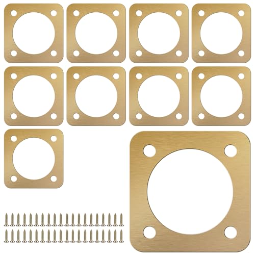 IXTIX 10 STK Specht Nistkasten Öffnungsschutz, für Vogelhäuser Durchmesser 3,8 x 3,8 cm, Metallschutzplatten für Vogelnester, Vogelhausschutz von IXTIX