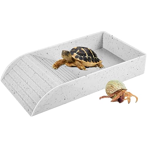 IXTIX Wasserbecken für Schildkröten mit Kletterrampe, Schildkröten Zubehör für Reptilientanks, Aquariumkäfigzubehör für Reptilien und Amphibien (Weiß, 36 * 20 * 6cm) von IXTIX