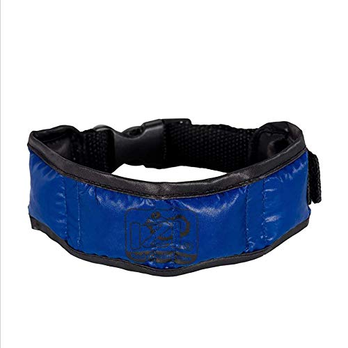 IZIPET Cooling Hunde Kühlhalsband, Hundehalsband mit Kühlfunktion, mit Hydrogel zur Kühlung Halsband Blau M von ESTEXO