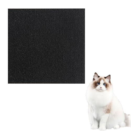 Asisumption Katzenkratzmatte, zuschneidbar, selbstklebend, für Wandmöbel, Couch-Schutz für Katze, Wandmöbel, Couch-Schutz, 60 x 100 cm, Schwarz, 2 Stück von IZKBNCOZZ
