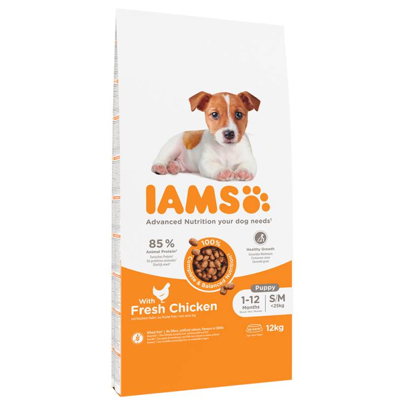 2 kg gratis! 12 kg IAMS Advanced Nutrition - Puppy Small / Medium Breed mit Huhn von Iams