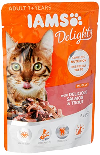 IAMS Delights Cat Wet Salmon Trout Jelly Single Pouch 85g von Iams