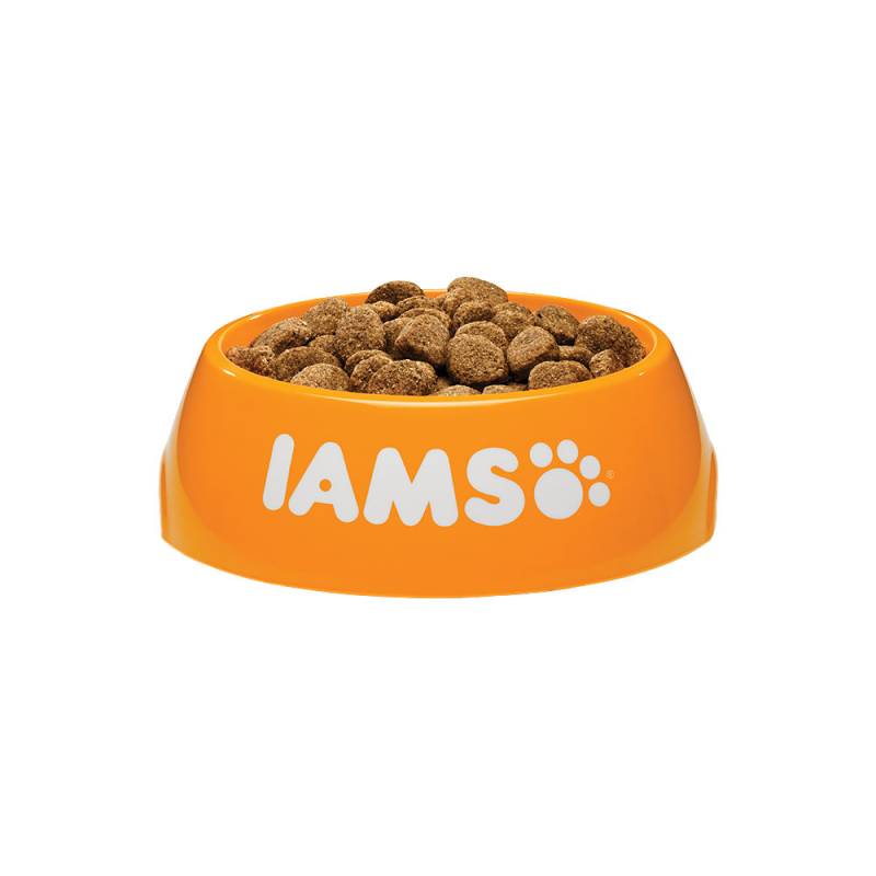 IAMS Adult Large Breed Hundefutter - Chicken - 12 kg von Iams