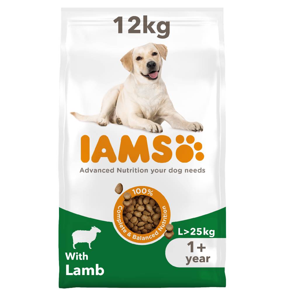 IAMS Advanced Nutrition Adult Large Dog mit Lamm - 12 kg von Iams