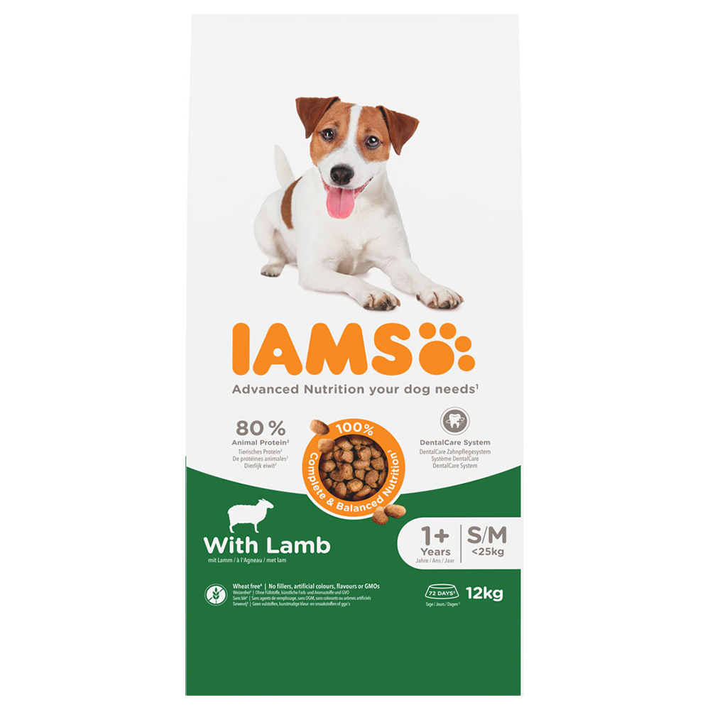 IAMS Advanced Nutrition Adult Small & Medium Dog mit Lamm - Sparpaket: 2 x 12 kg von Iams