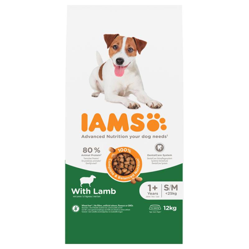 IAMS Advanced Nutrition Adult Small & Medium Dog mit Lamm - Sparpaket: 2 x 12 kg von Iams